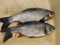 IMG-20221023-WA0017.webp