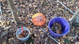 IMG-6c4163adef755165a71950ec160807a4-V.webp