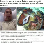 17323698.webp