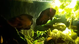 20220902_131311.webp