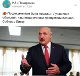17326323.webp