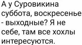 17311780.webp