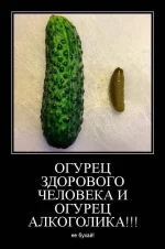31033116_1076.webp