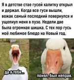 17324607.webp