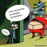 17.webp