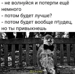17333135.webp