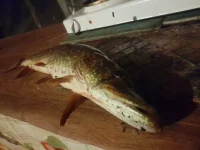 20221029_232557.webp