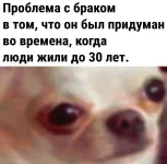 17337332.webp 17337332.webp