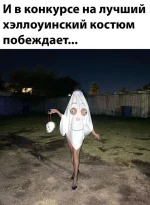 17348110.webp