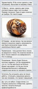 17348604.webp