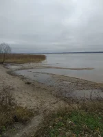 IMG-20221104-WA0000.webp