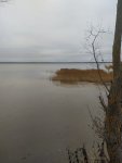 IMG-20221104-WA0001.jpg