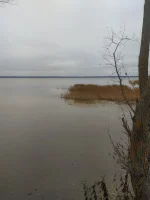 IMG-20221104-WA0001.webp