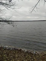IMG-20221104-WA0003.webp