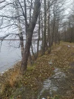 IMG-20221104-WA0005.webp