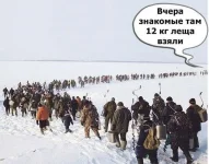 17353709.webp
