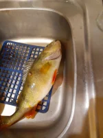 20221105_215525.webp