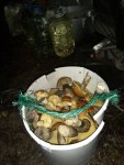 IMG-20221106-WA0009.jpg