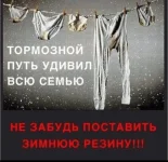 1667754688531.webp