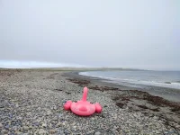 IMG-20221106-WA0012.webp