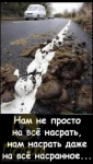 1667928118875.png