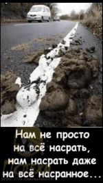 1667928118875.png