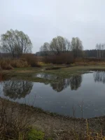 IMG-20221109-WA0005.webp