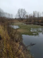 IMG-20221109-WA0004.webp