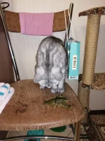 IMG-20221105-WA0005.webp