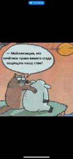 1668362930804.webp