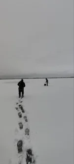 изображение_viber_2022-11-16_12-58-03-029.webp