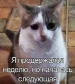 17413280.webp