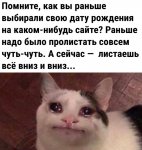 17418307.jpg
