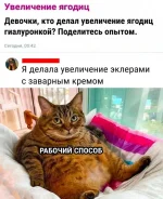 17418317.webp