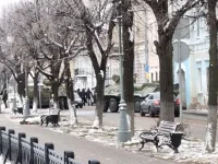 17431765.webp