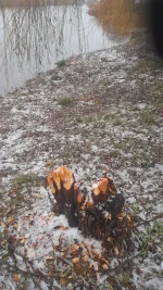 IMG-20221127-WA0002.jpeg