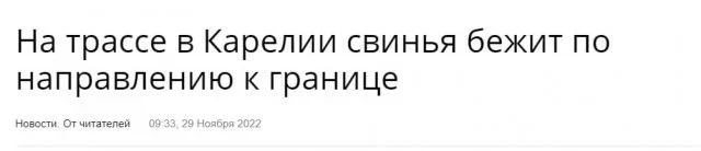 17442262.webp