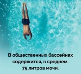17446051.webp