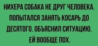 17446493.webp