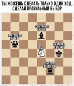 17447886.webp