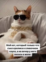 17447735.webp