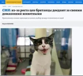 17455846.webp