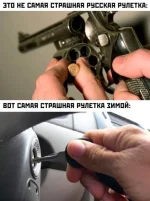 17459269.webp
