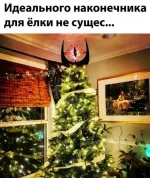 17459176.webp