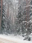 IMG_20221203_125352.jpg