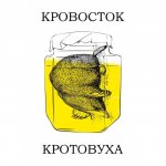 17490937.jpg