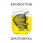17490937.webp
