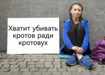 17490945.webp