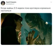 17490953.webp