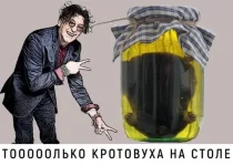 17490965.webp